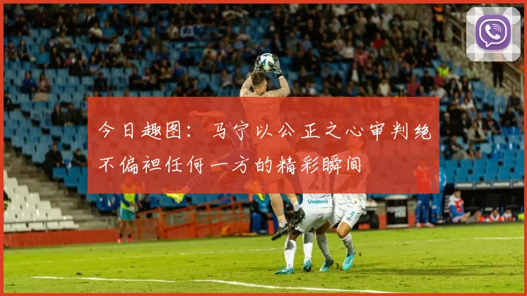 今日趣图：马宁以公正之心审判绝不偏袒任何一方的精彩瞬间
