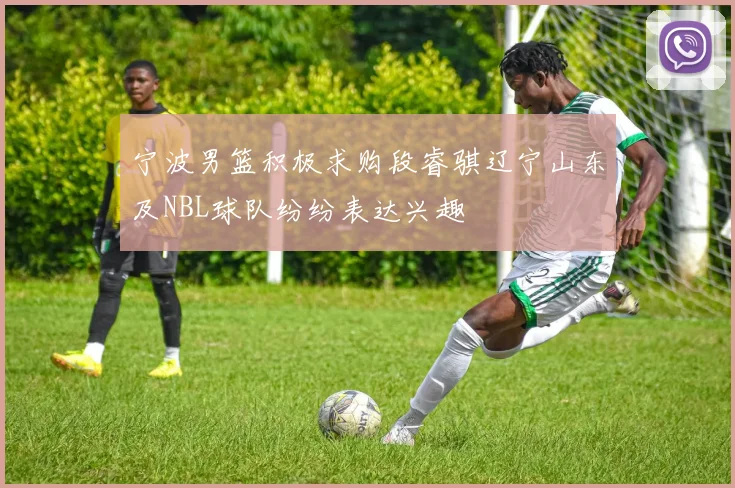 宁波男篮积极求购段睿骐辽宁山东及NBL球队纷纷表达兴趣