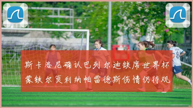 斯卡洛尼确认巴列尔迪缺席世界杯蒙铁尔莫利纳帕雷德斯伤情仍待观察