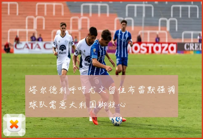 塔尔德利呼吁尤文留住布雷默强调球队需意大利国脚核心