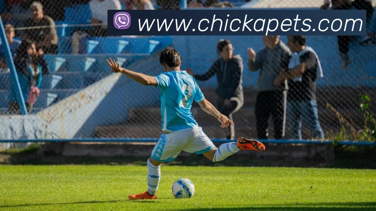 体育App
